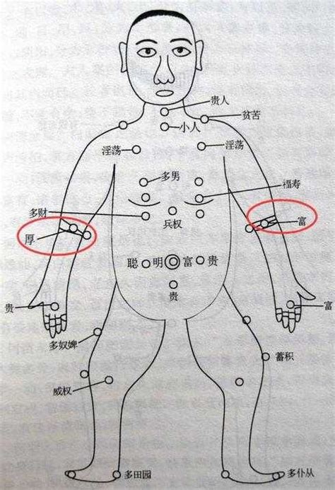 手臂 有痣|痣的位置透露出這些訊息！上手臂有痣不乏追求者、手。